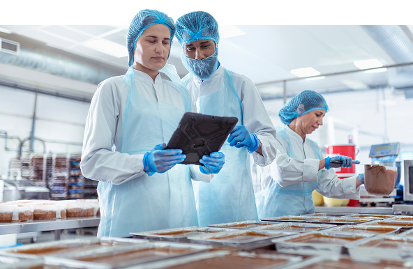 Food Industry