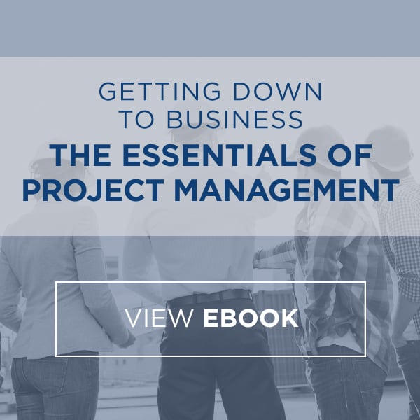 The Essentials of Project Management