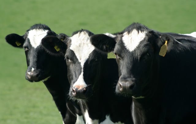 Food and beverage industry coronavirus impact on dairy producers