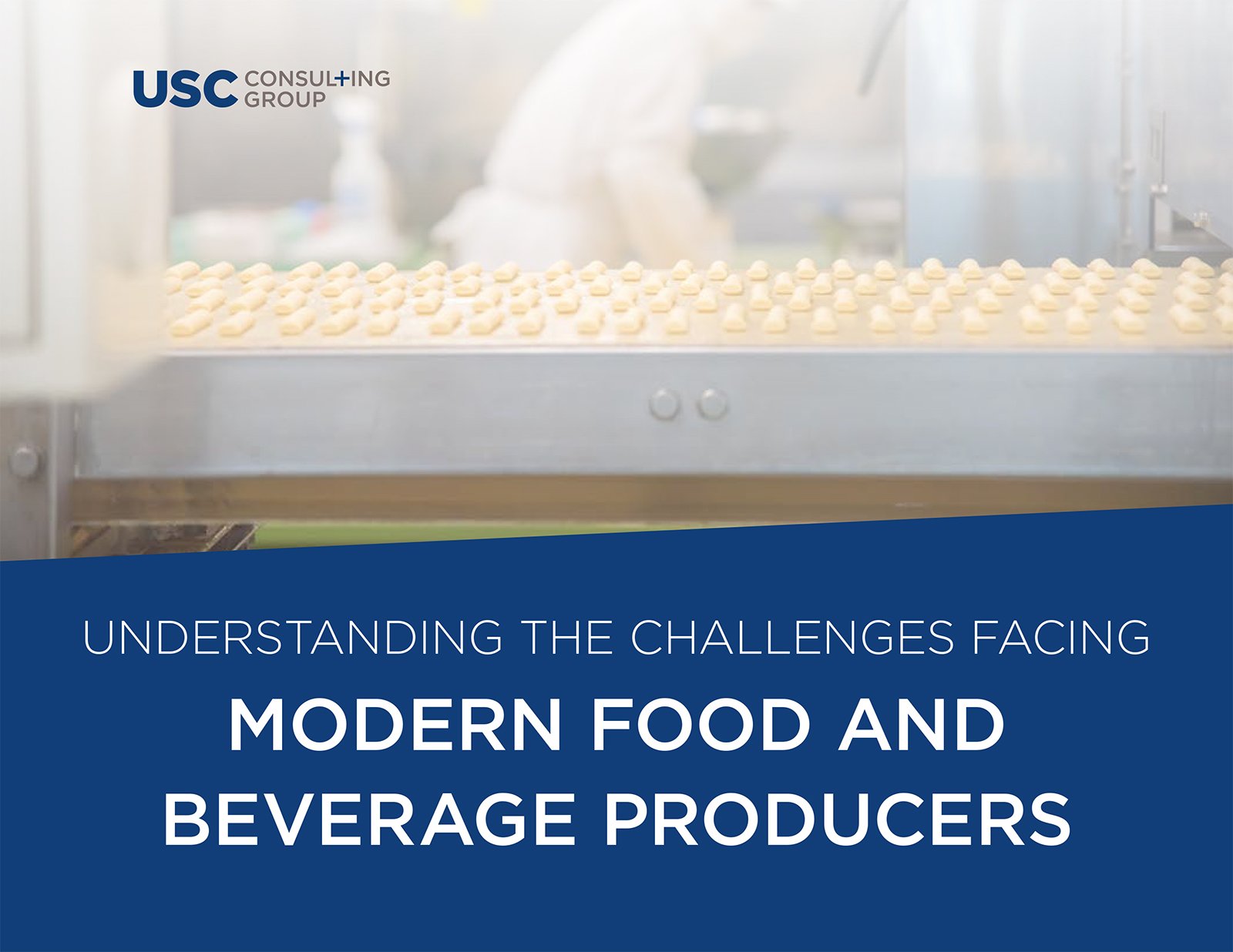 Modern Food and Beverage Challenges eBook Cover