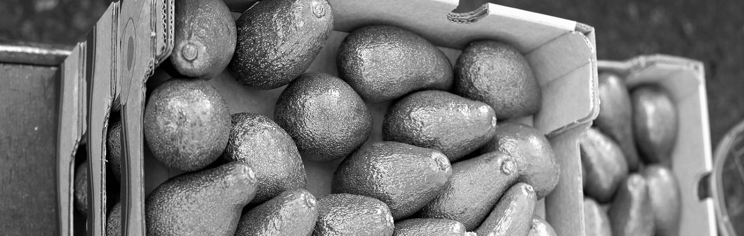 bigstock-Avocado-Box-52762381-BW-e1461094718694