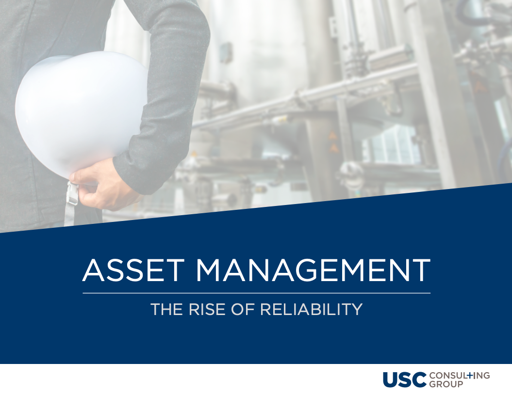 Asset Management The Rise of Reliability cover page