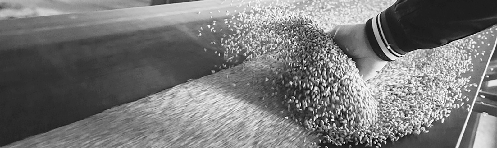 Food-Manufacturer-Discovers-the-Power-of-Collaboration-to-Feed-Huge-Savings-feature-image