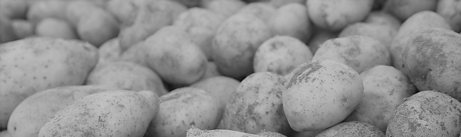 potatoes-bw-e1499355129233