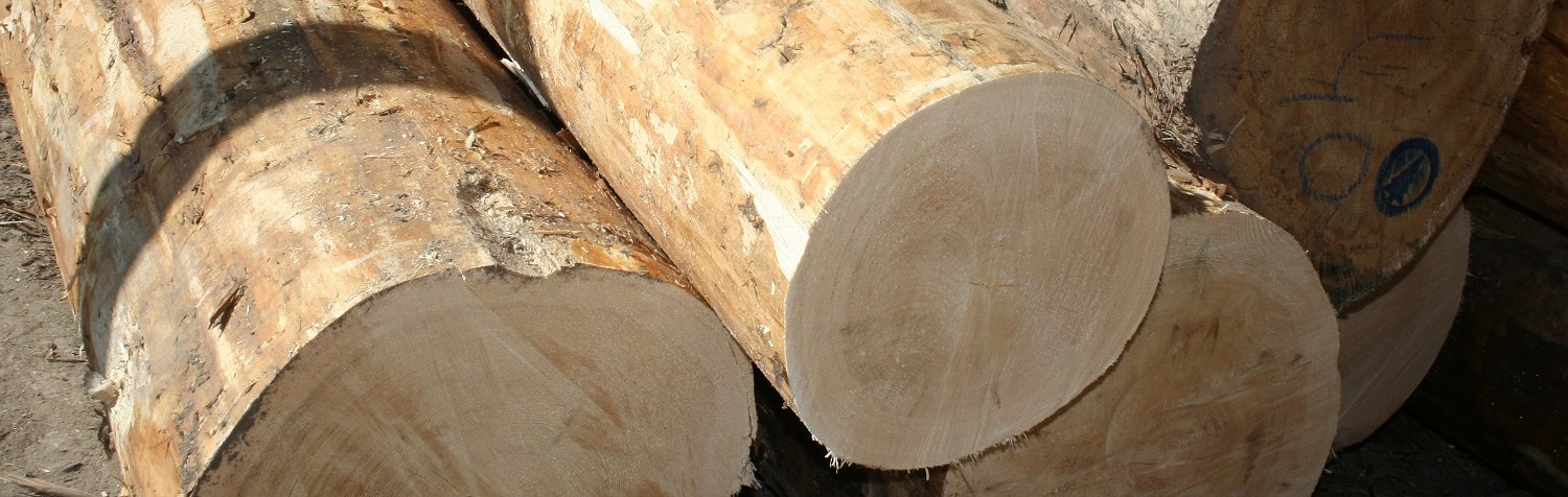 bigstock-timber-8658823-e1451322233807