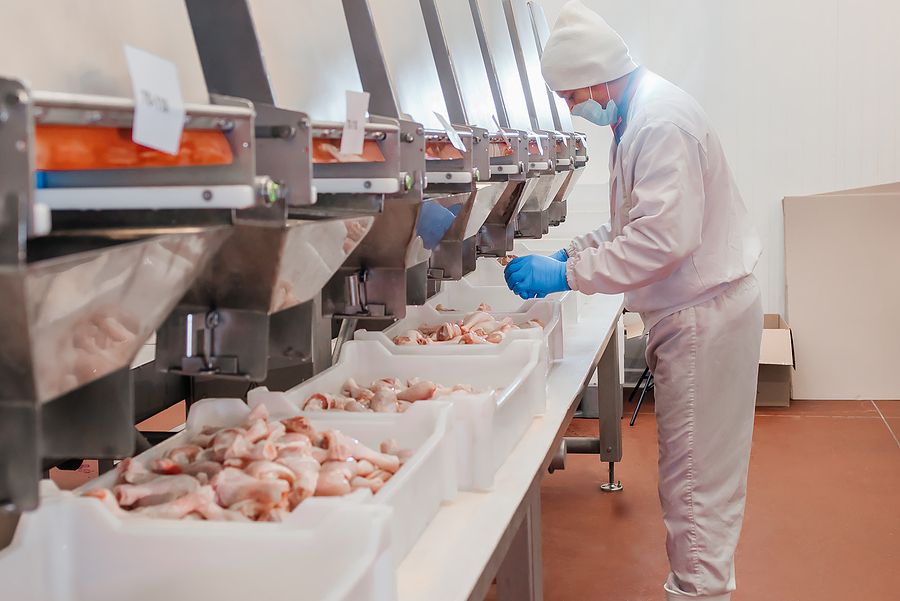 The food and beverage manufacturing industry is experiencing labor shortages and a skills gap. Can there be a silver lining?