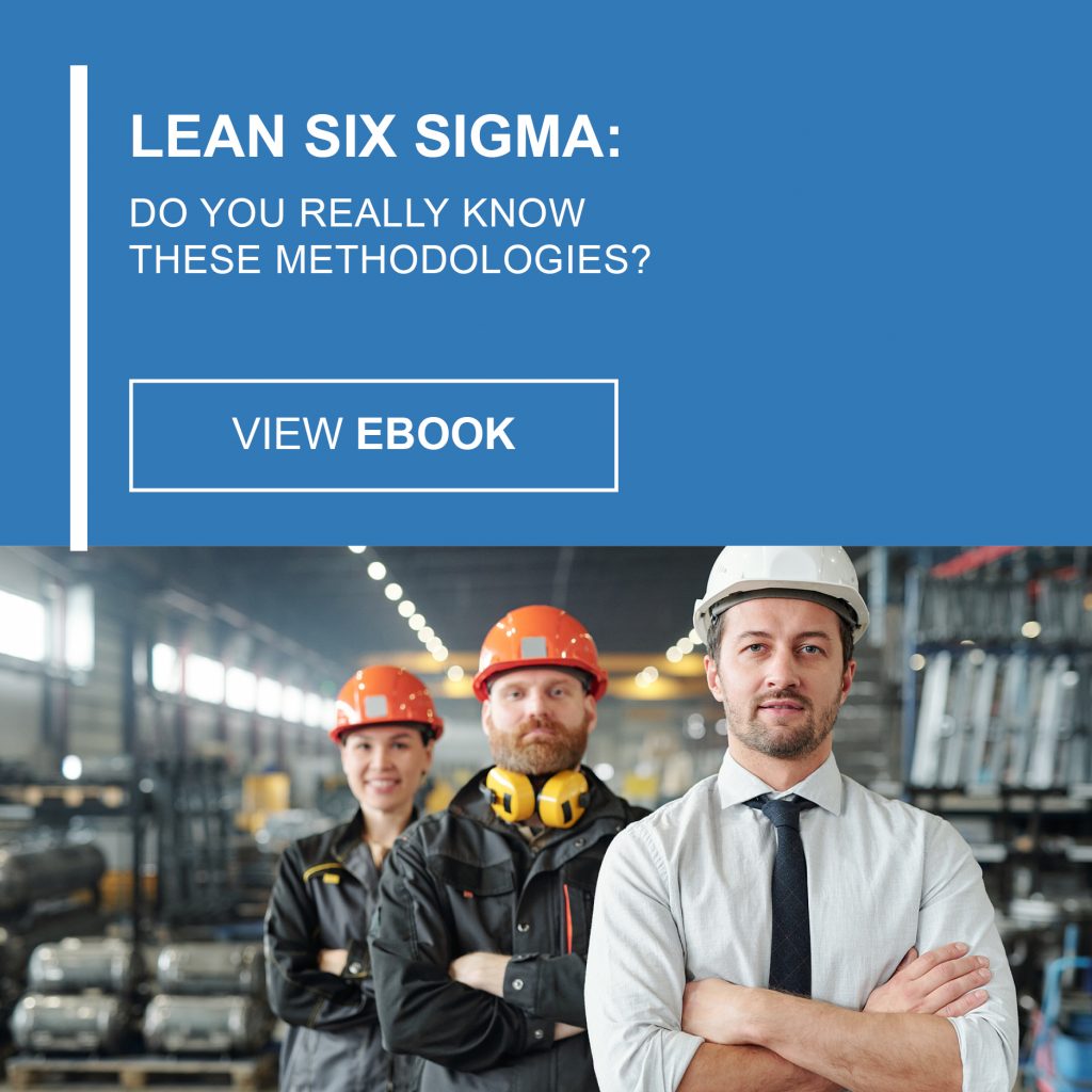 Lean Six Sigma - Do You Really Know These Methodologies eBook