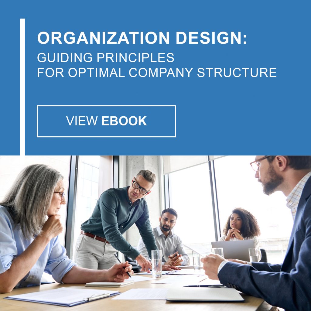 Organization Design: Guiding Principles for Optimal Company Structure eBook